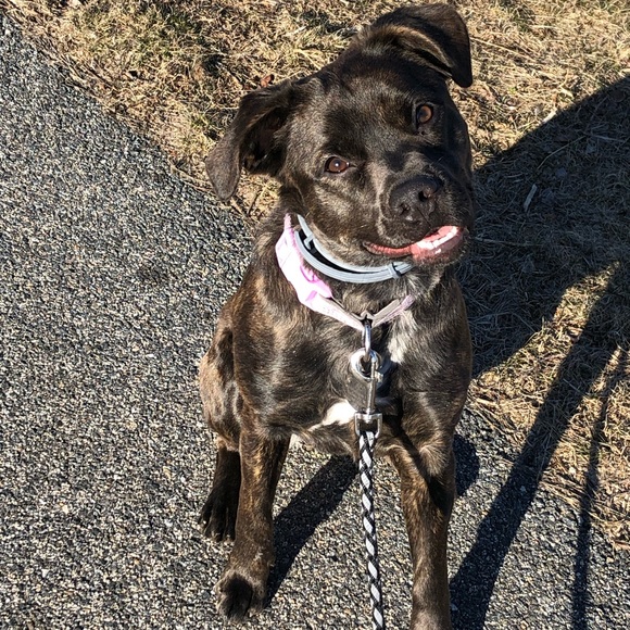 KidzChaos Krafts - Hi I’m Sandy! - Picture 11 of 13